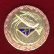 AZ-Ehrennadel in Bronze